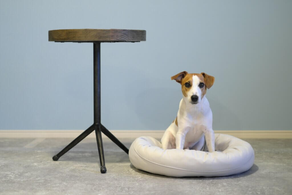 ペット可マンション